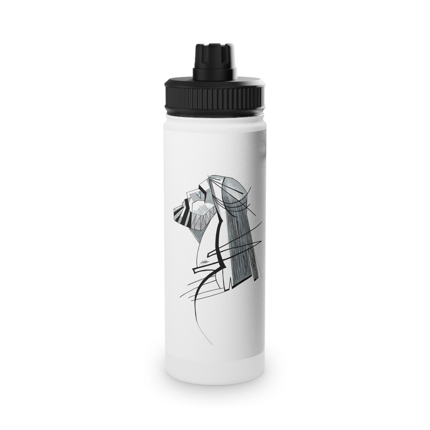 Stainless Steel Water Bottle, Sports Lid